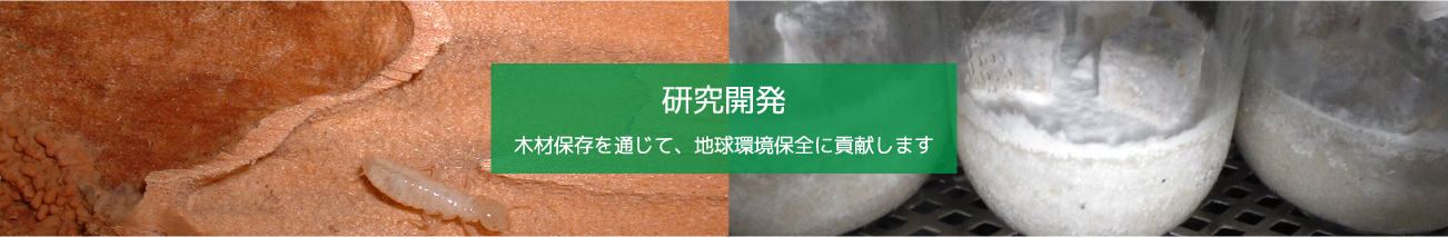 研究開発 木材保存を通じて、地球環境保全に貢献します